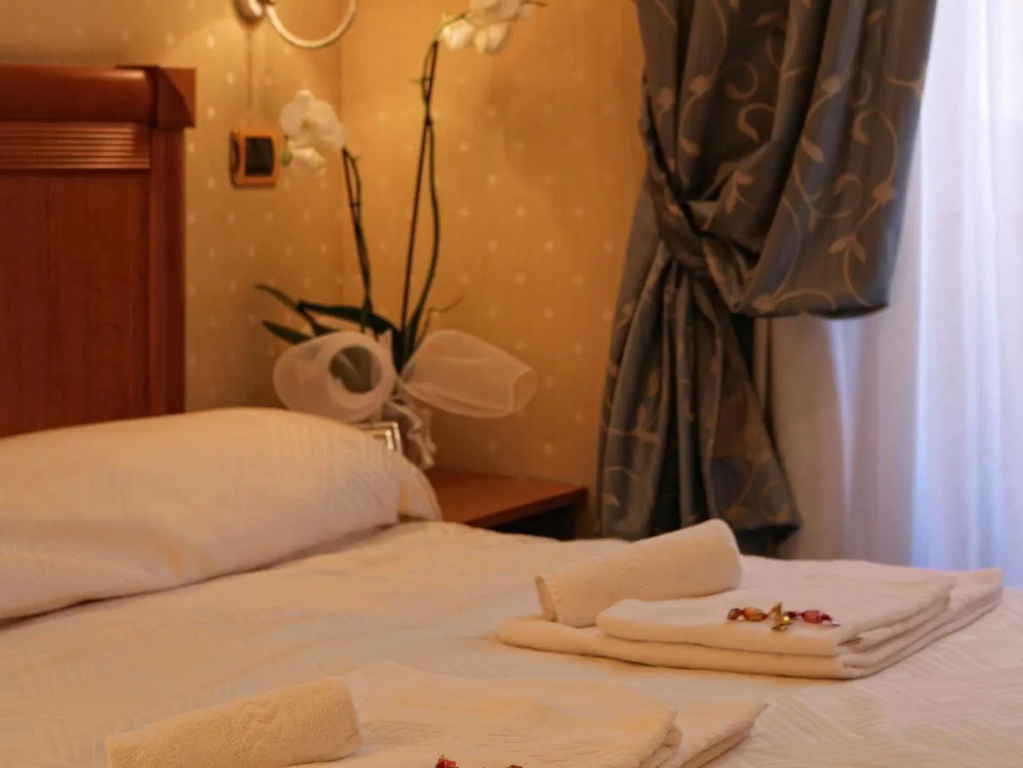 Vatican Holiday Rome Bed & Breakfast